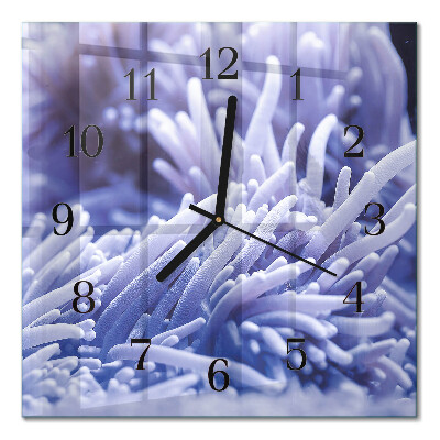 Firkantet glas vægur Anemone