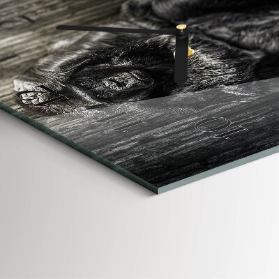 Glas vægur Gorilla