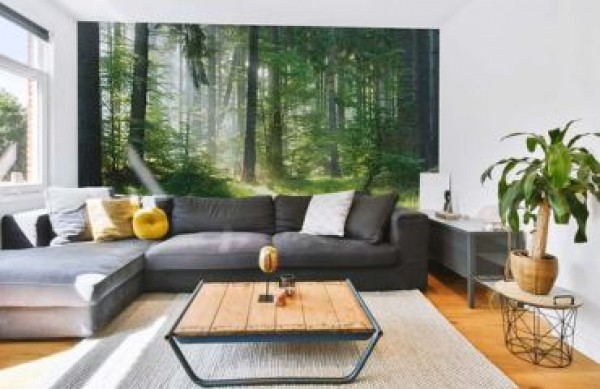 Fototapet til stuen - sådan vælger du det perfekte motiv og skaber et unikt rum