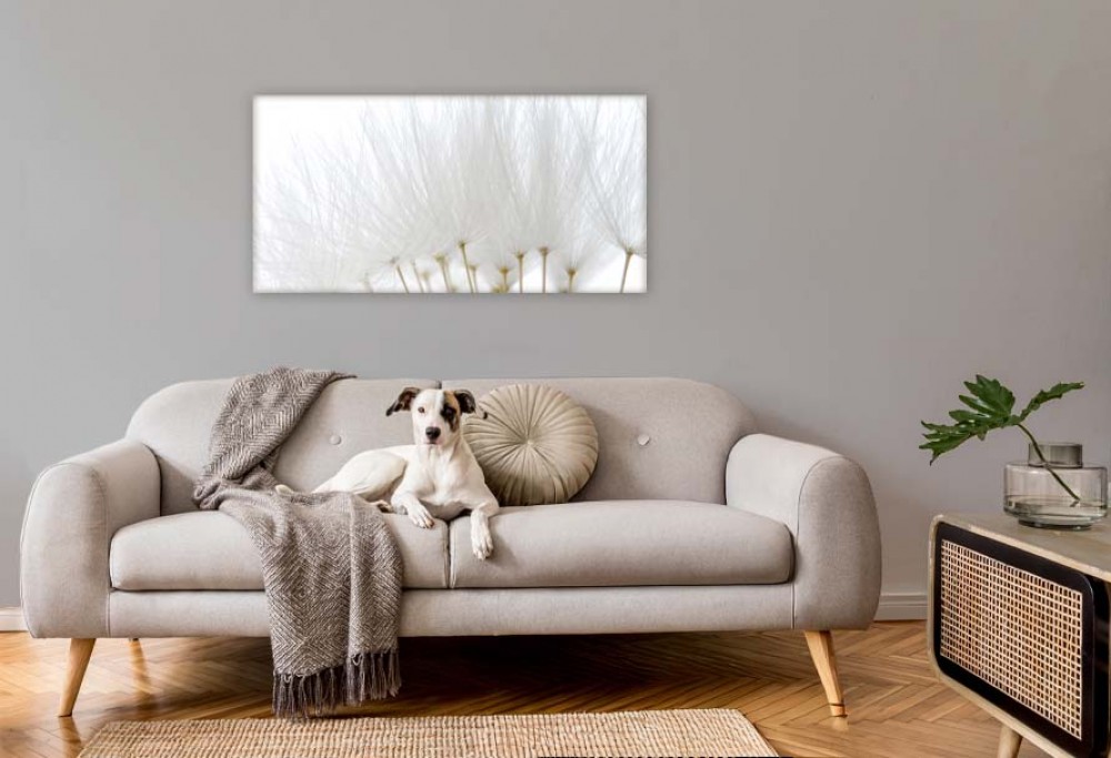 Årets interiørfarve 2026