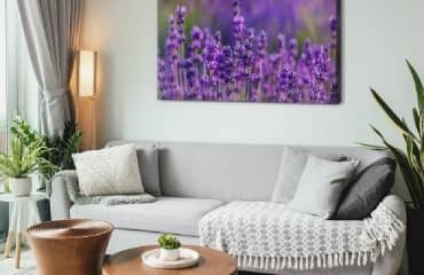 Vi indretter stuen i provencalsk stil! Inspirationer og ideer til et rustikt interiør